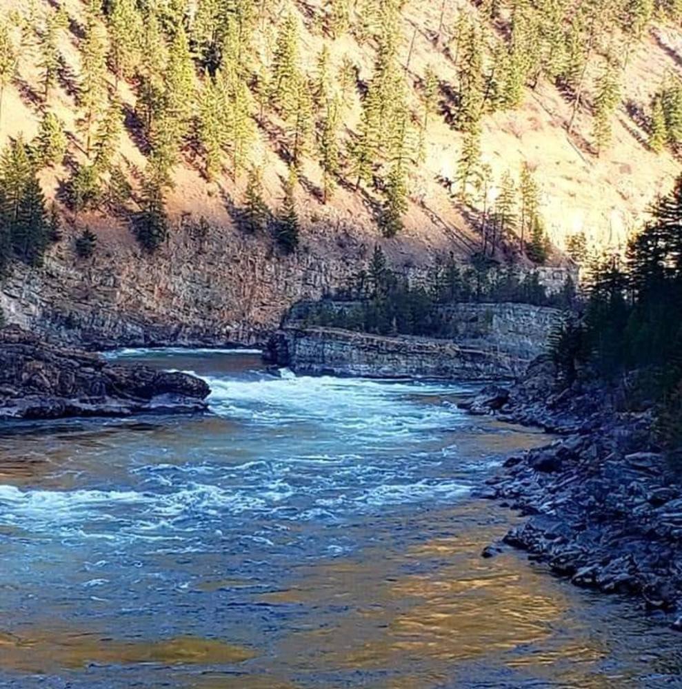 Meet your Posher, Brandon